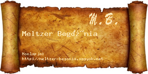 Meltzer Begónia névjegykártya